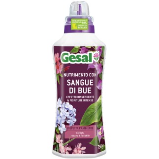 GESAL SANGUE DI BUE ML.750 - 1