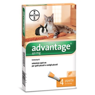 BAYER ADVANTAGE SPOT ON 40 GATTI FINO A KG.4 - 1