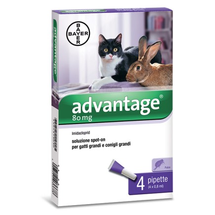 BAYER ADVANTAGE SPOT ON 80 GATTI OLTRE KG.4 - 1