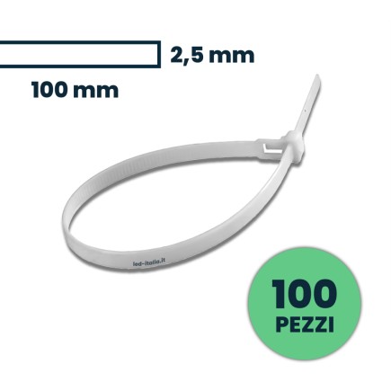 Cable Tie 2.5*100mm White 100Pcs/Pack