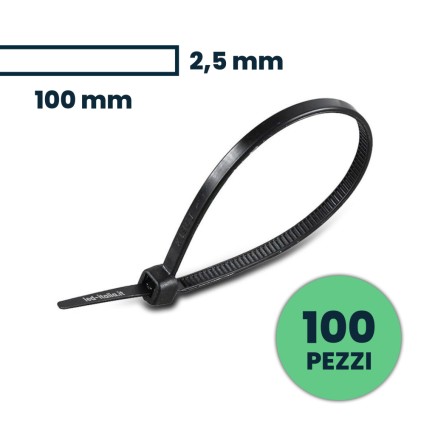 Cable Tie 2.5*100mm Black 100Pcs/Pack