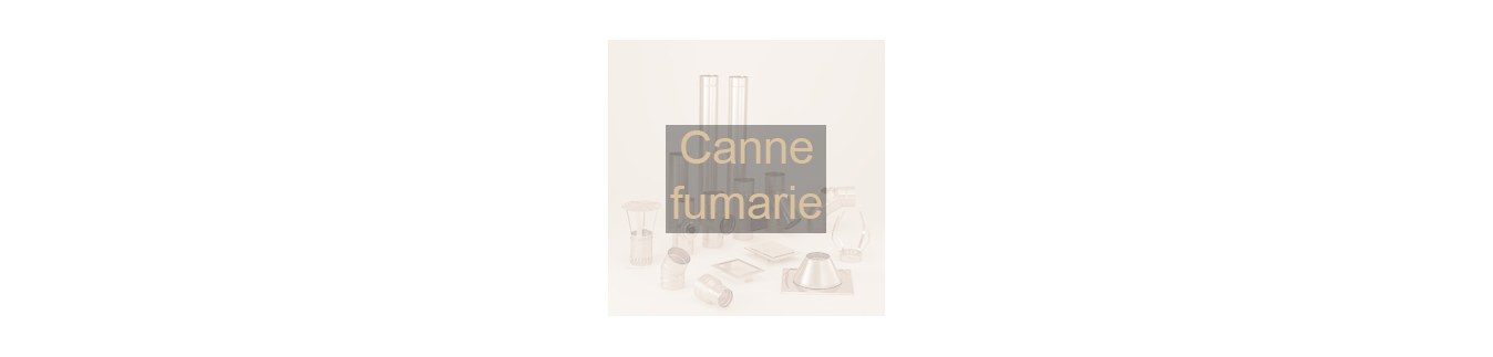 Canne fumarie