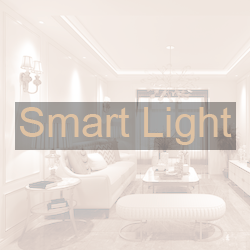 Smart Light